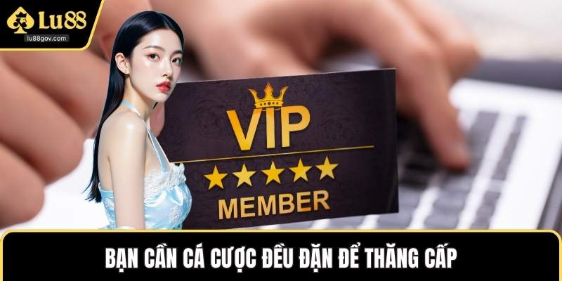 Bạn cần cá cược đều đặn để thăng cấp
